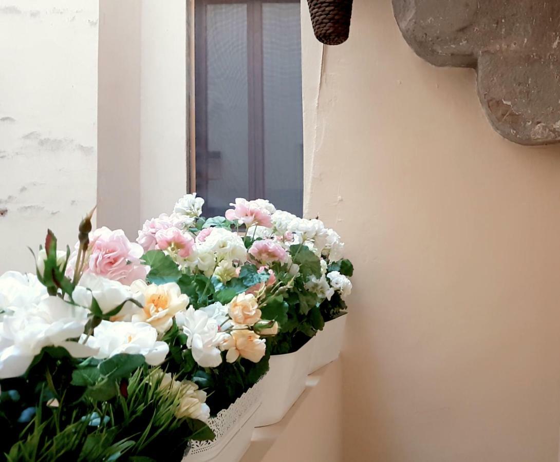 Velvet Loft - Santo Spirito Apartment Φλωρεντία Εξωτερικό φωτογραφία